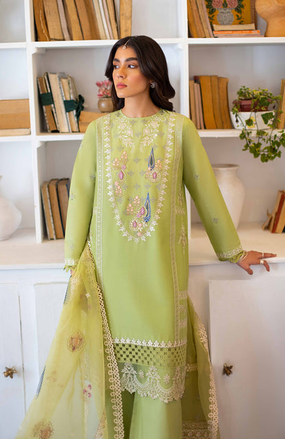Seran - Nilofar