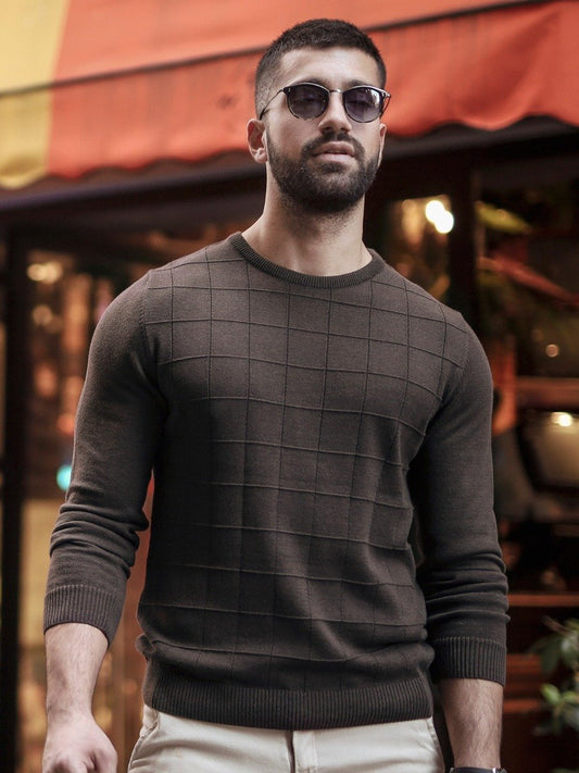 Edenrobe - Men's Brown Sweater - EMTSWT20-013