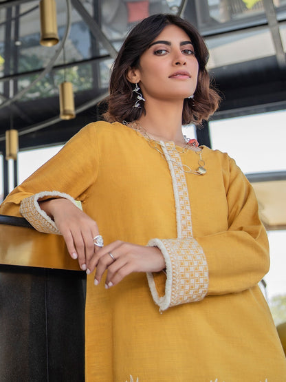Edenrobe - Pret 1Pc Embroidered Khaddar Shirt - EWTKE20-67398