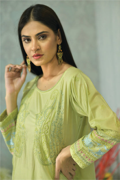 Bareeq Outfits - 2 Piece Light Green Suit Fully Embroidered