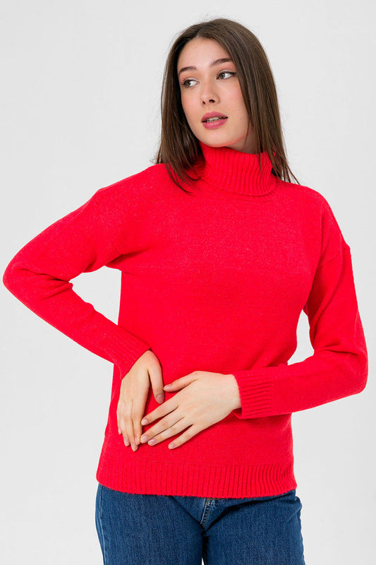 BTW - TURTLE NECK SWEATER