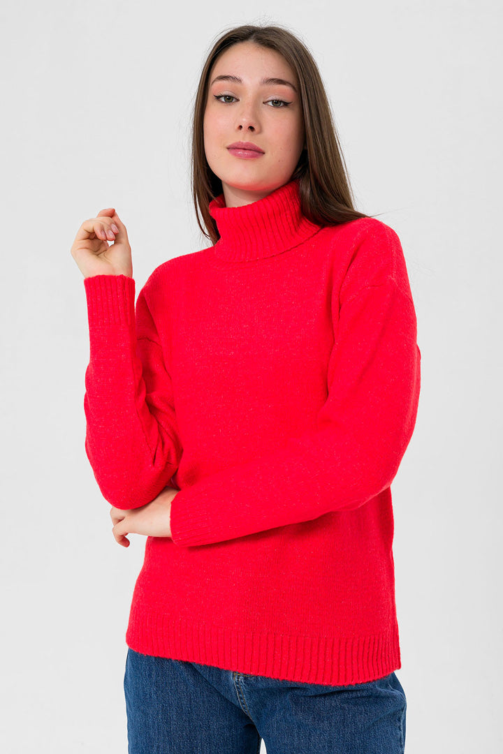 BTW - TURTLE NECK SWEATER