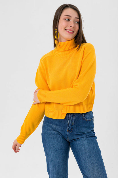 BTW - TURTLE NECK SWEATER