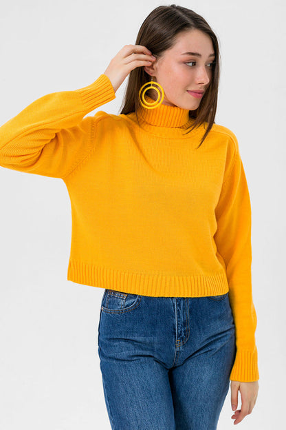 BTW - TURTLE NECK SWEATER