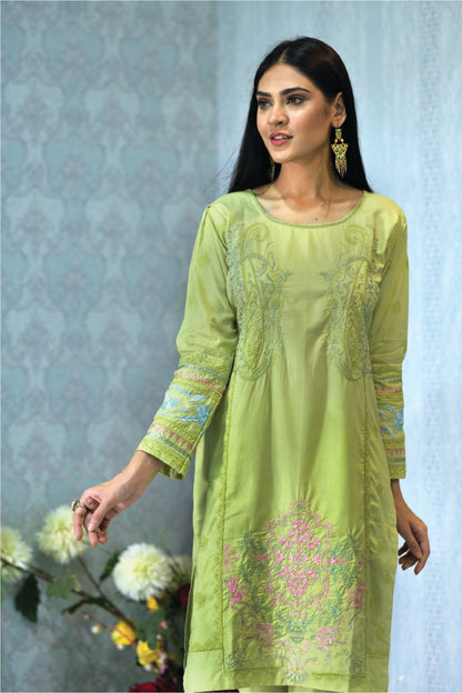 Bareeq Outfits - 2 Piece Light Green Suit Fully Embroidered