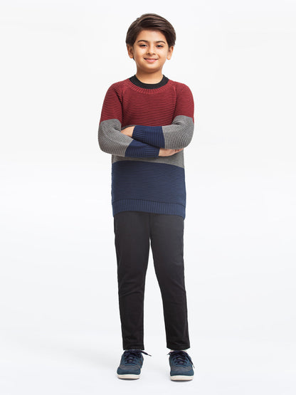 Edenrobe - Boy's Multi Sweater - EBTSWT23-011