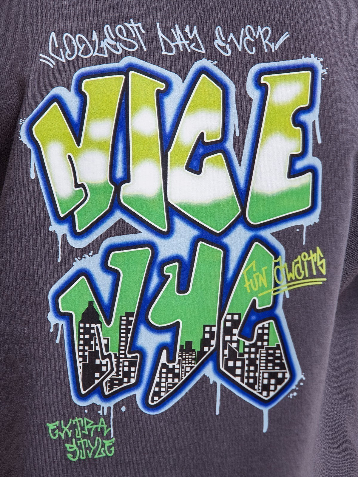 Edenrobe - Boy's Charcoal T-Shirt - EBTTS23-009