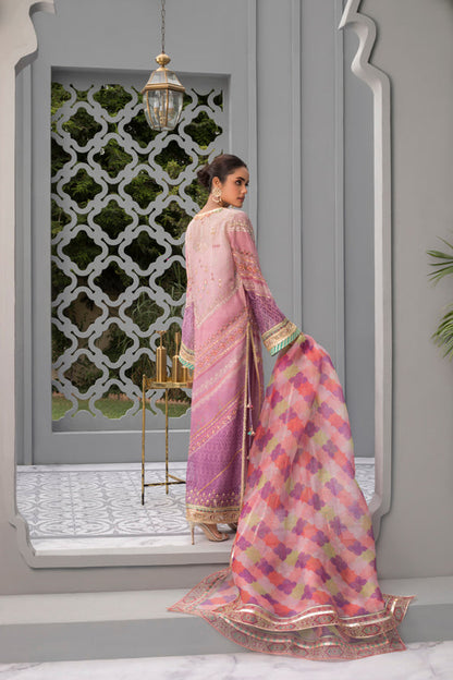 Ombre Pink Cotton Net Worked Shirt with Printed Organza Dupatta