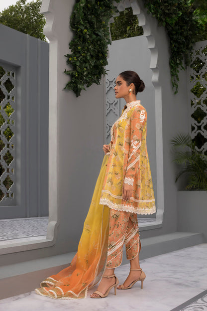 Tangerine & Canary Yellow Printed Cotton Net Short Peshwas With Organza Dupatta