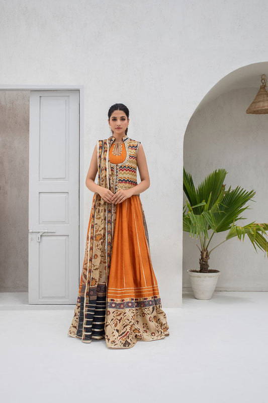 Apricot Khaddi Silk Peshwas With Gota Worked Jacket And Printed Organza Dupatta