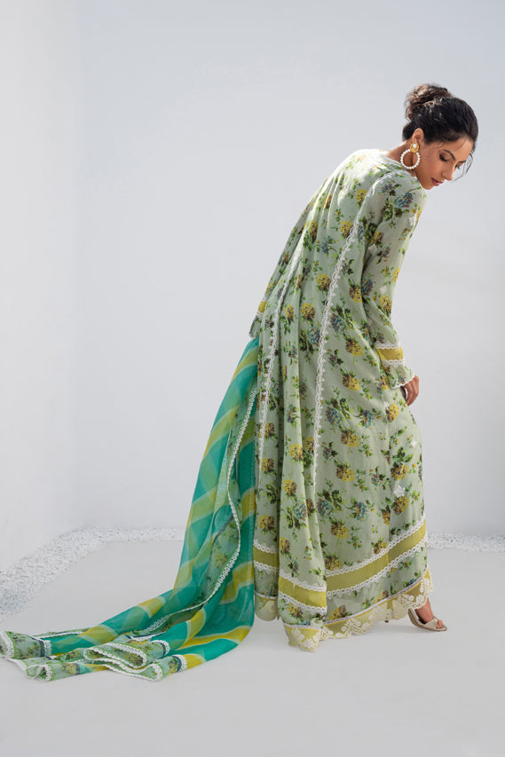 Pistachio Printed Silk Long Shirt with Organza Dupatta