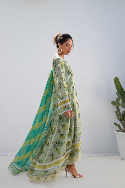 Pistachio Printed Silk Long Shirt with Organza Dupatta