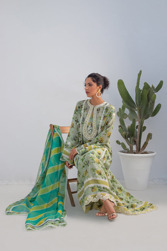 Pistachio Printed Silk Long Shirt with Organza Dupatta