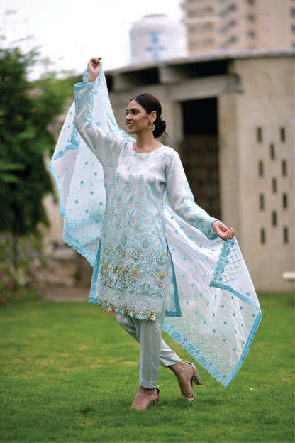 Bareeq Outfits - VINTAGE FESTIVE DRESS