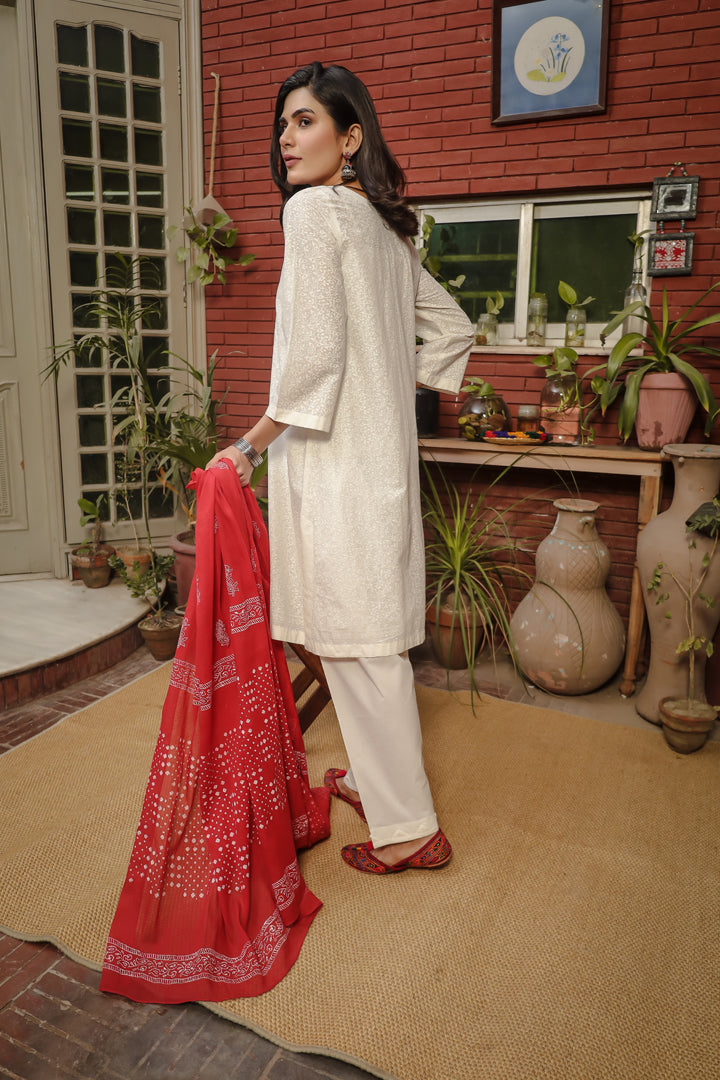 Eraj Hussain - Bandhani Chaap