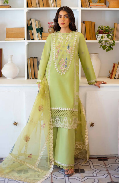 Seran - Nilofar