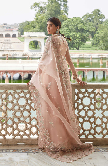 Seran - Roohi