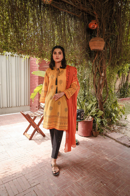 Eraj Hussain - Shajar-e-Rimz