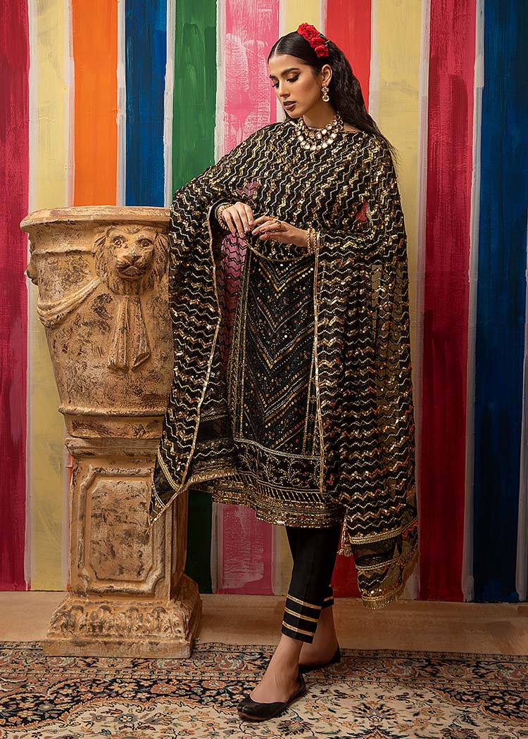 Mahum Asad - Embroidered Border Saari