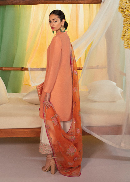 Hussain Rehar - Vasl