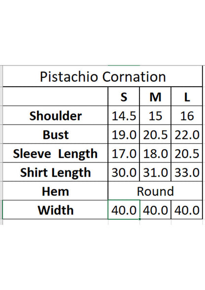 Bebano - PISTACHIO CARNATIONS