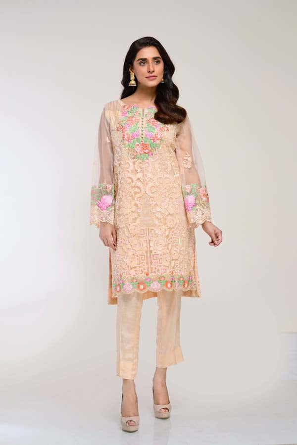 Adan's Libas - CHAMPAGNE – EMBROIDERED NET 2 PIECE (UNSTITCH)