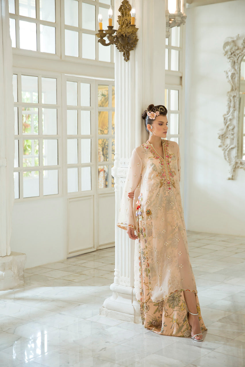 Organza Kamdani Embroidered