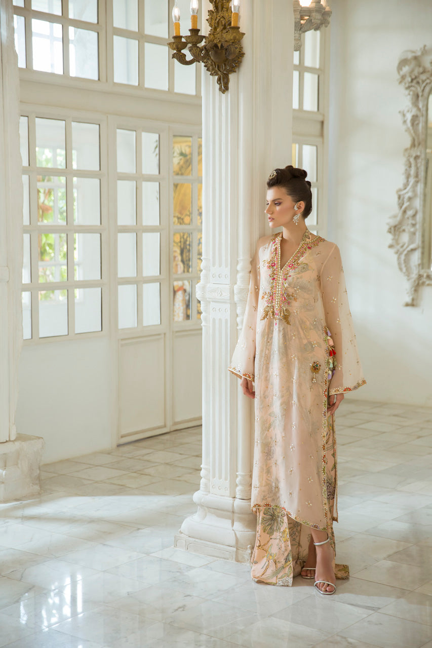 Organza Kamdani Embroidered