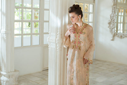 Organza Kamdani Embroidered
