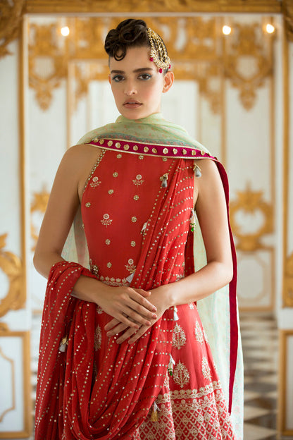 Embroidered Raw Silk Peshwas 1