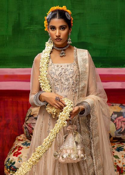 Mahum Asad - DAHLIA
