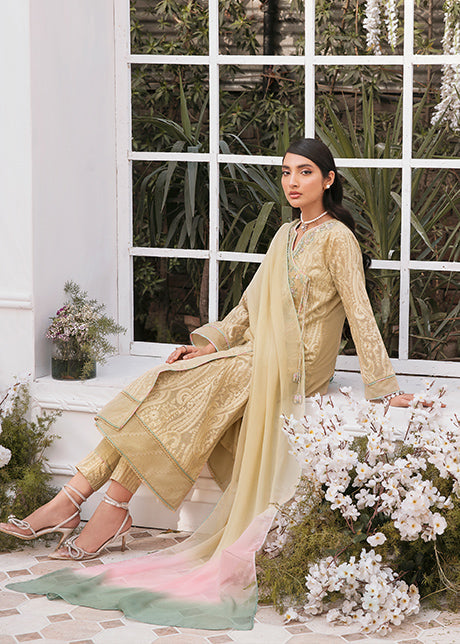 Mahum Asad - BEIGE CRUNCH