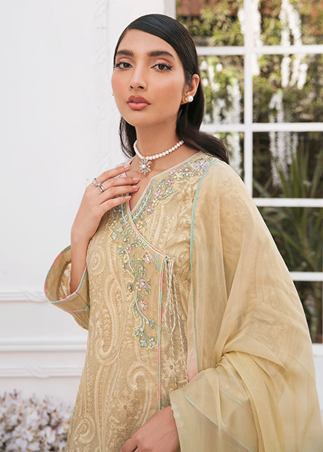 Mahum Asad - BEIGE CRUNCH