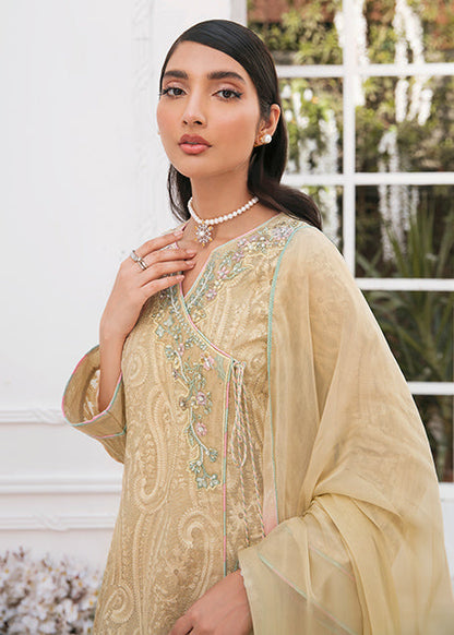 Mahum Asad - BEIGE CRUNCH