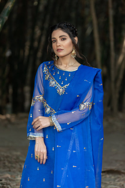 Eraj Hussain - Shanasai
