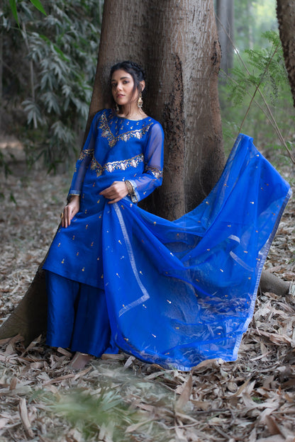 Eraj Hussain - Shanasai