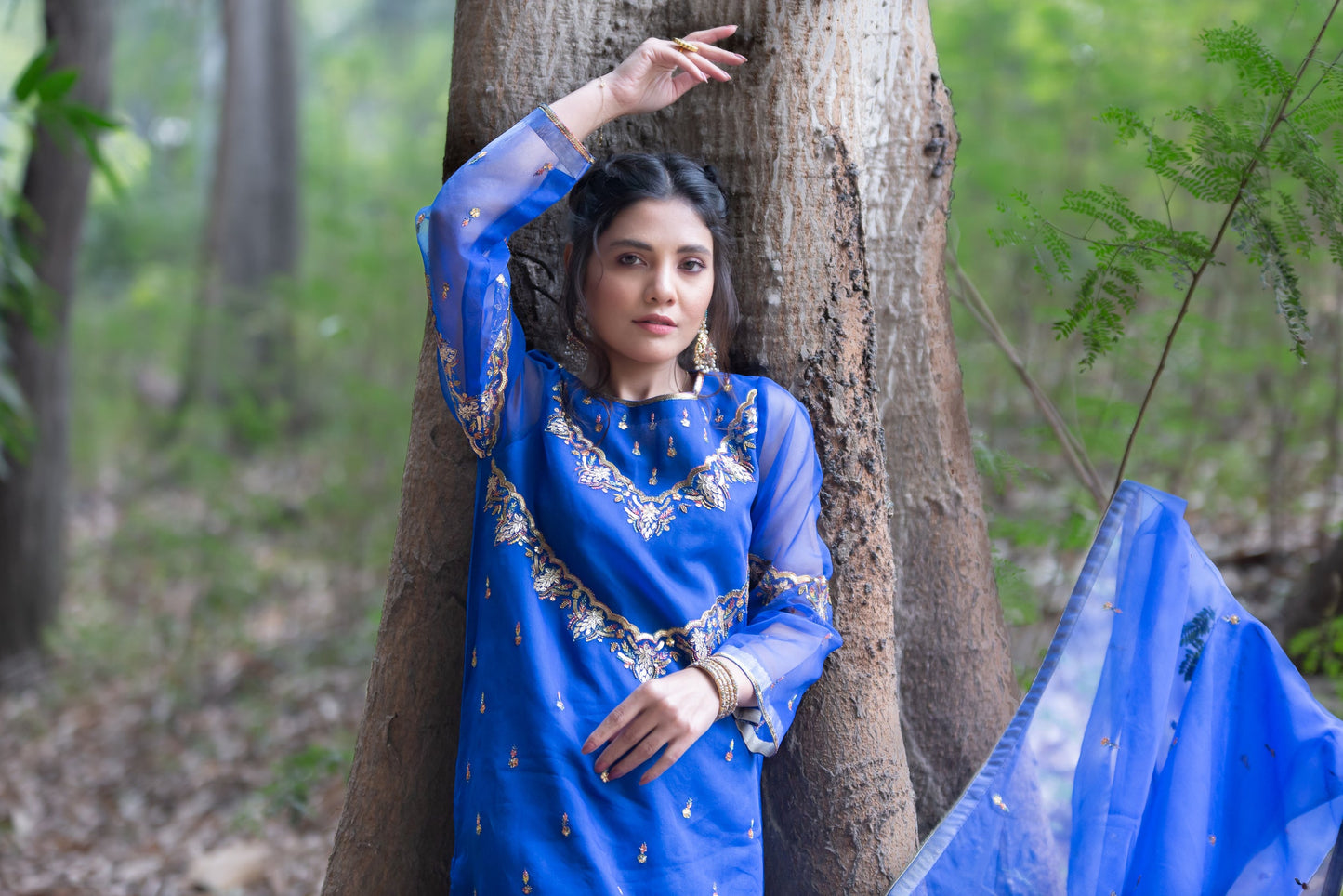 Eraj Hussain - Shanasai