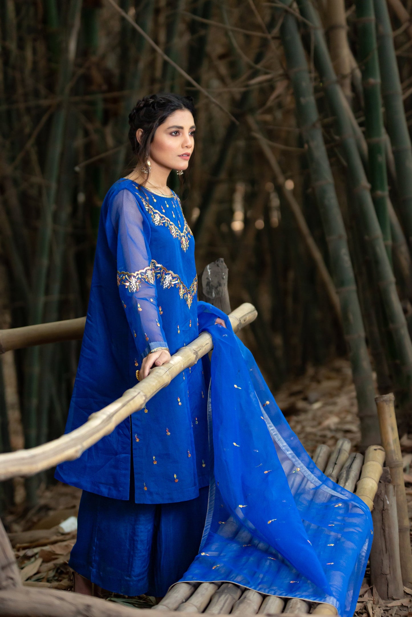 Eraj Hussain - Shanasai