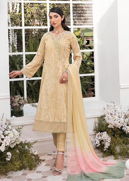 Mahum Asad - BEIGE CRUNCH