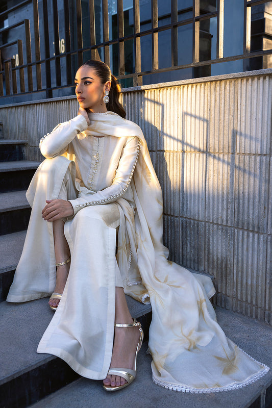 Ayesha Shoaib Malik - AE23-002