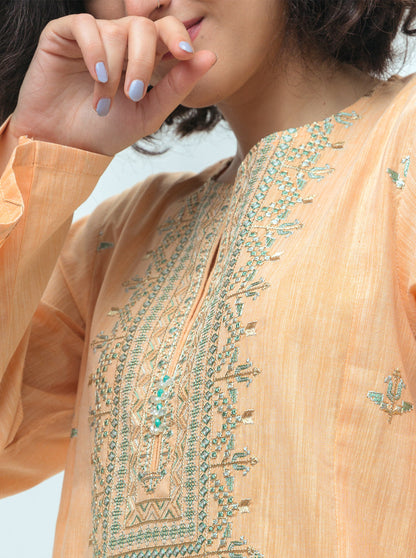 Beechtree - EMBROIDERED YARN DYED COTTON SHIRT (PRET)