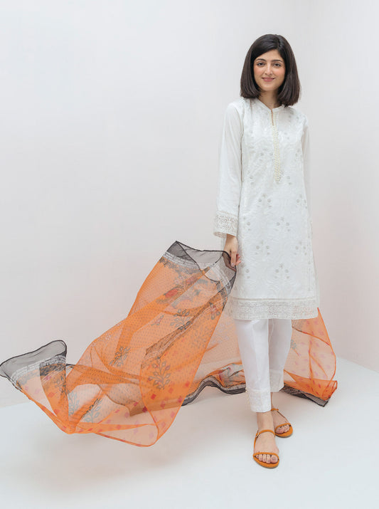 Beechtree - 2 PIECE EMBROIDERED LAWN SUIT (PRET)