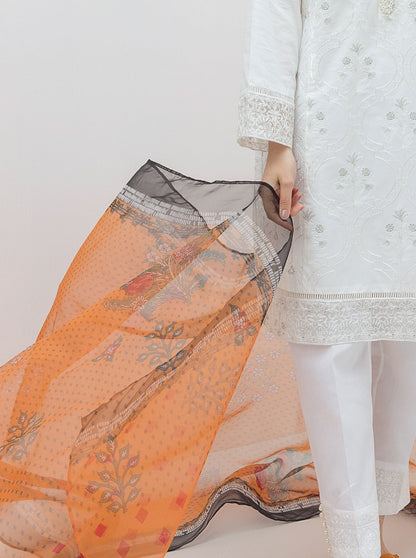 Beechtree - 2 PIECE EMBROIDERED LAWN SUIT (PRET)