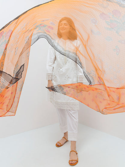 Beechtree - 2 PIECE EMBROIDERED LAWN SUIT (PRET)