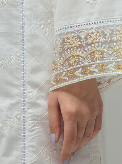 Beechtree - 2 PIECE EMBROIDERED LAWN SUIT (PRET)