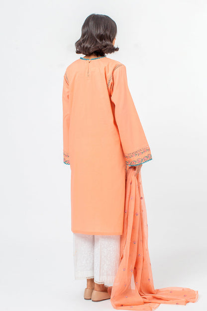 Beechtree - 2 PIECE EMBROIDERED LAWN SUIT (PRET)