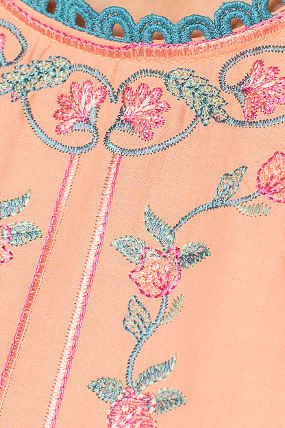 Beechtree - 2 PIECE EMBROIDERED LAWN SUIT (PRET)