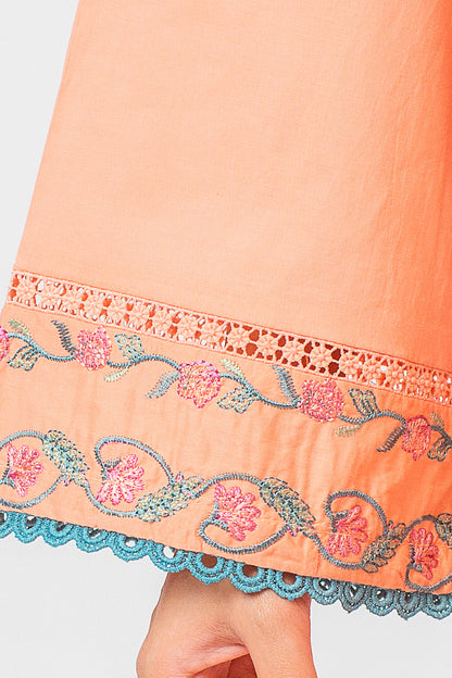 Beechtree - 2 PIECE EMBROIDERED LAWN SUIT (PRET)