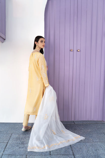 Eraj Hussain - Fasaan e Chikankari - Lime - Stitched