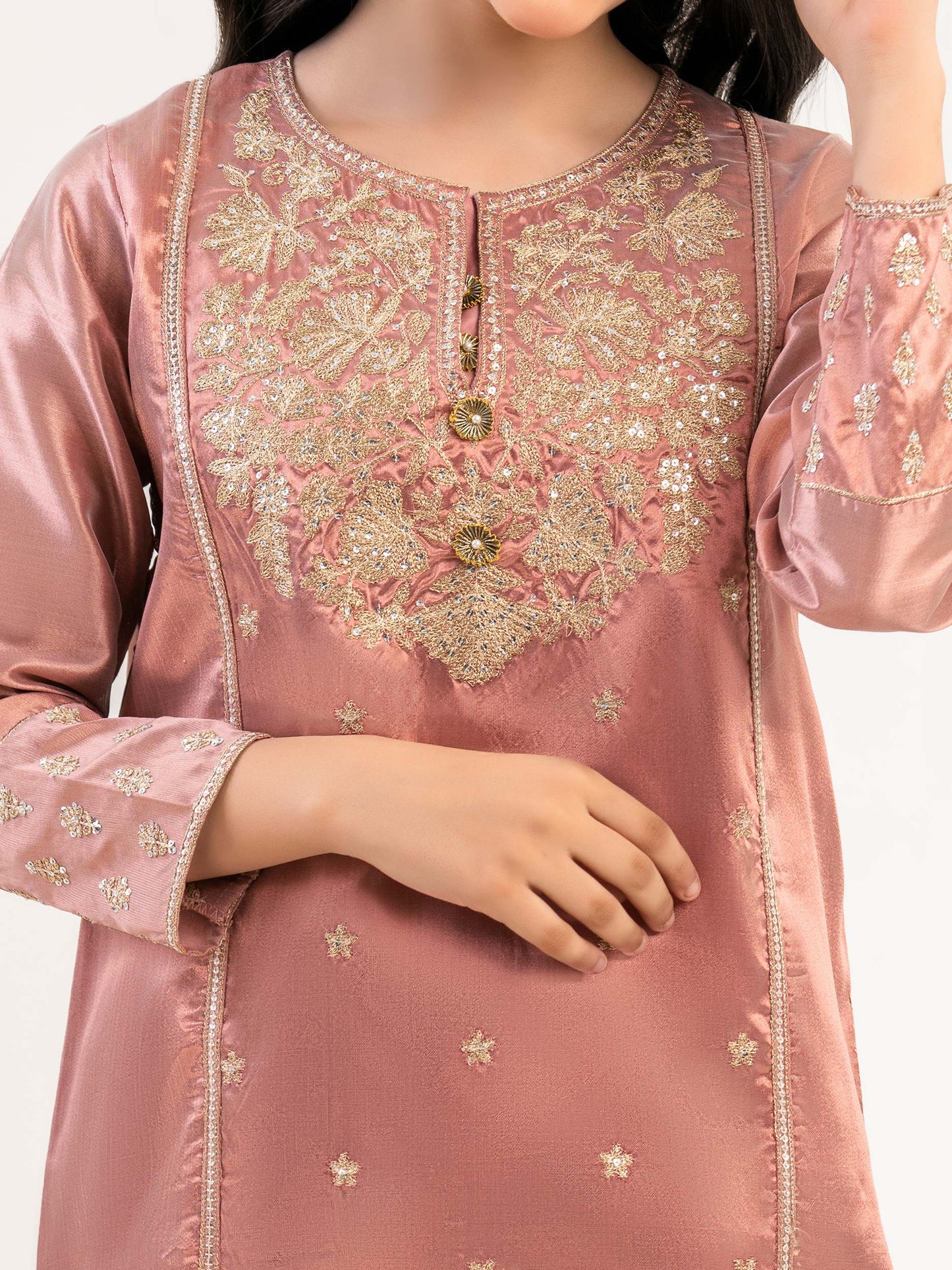 2 Piece Zari Suit-Embroidered